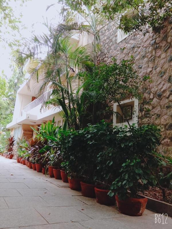 Hanu Reddy Residences Wallace Garden Chennai Eksteriør bilde